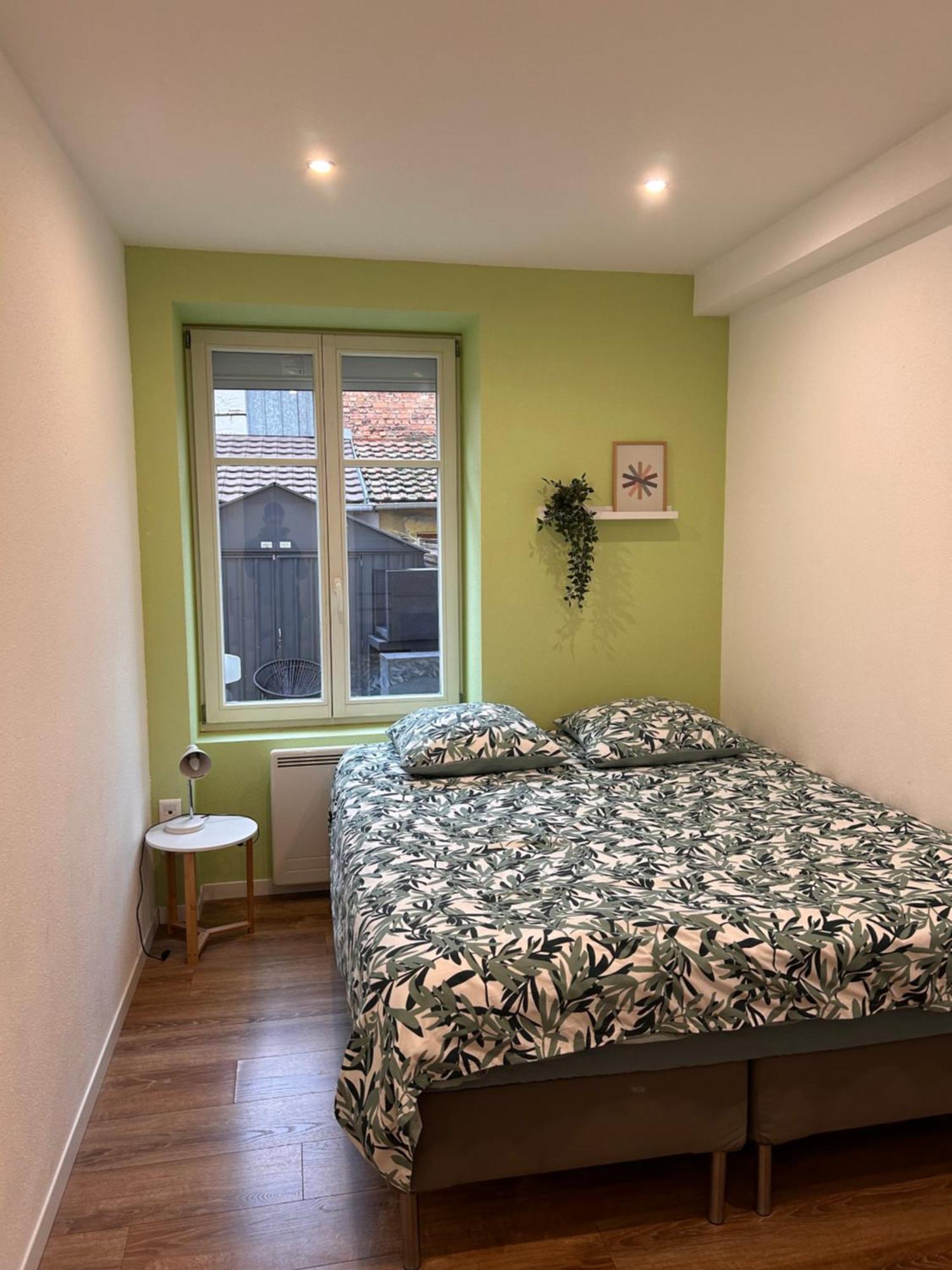 # Le 1 # Tres Beau T3 Neuf Rez-De-Chaussee Centre Ville Mulhouse Exterior foto